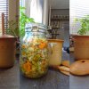 Kvašená zelenina-pickles